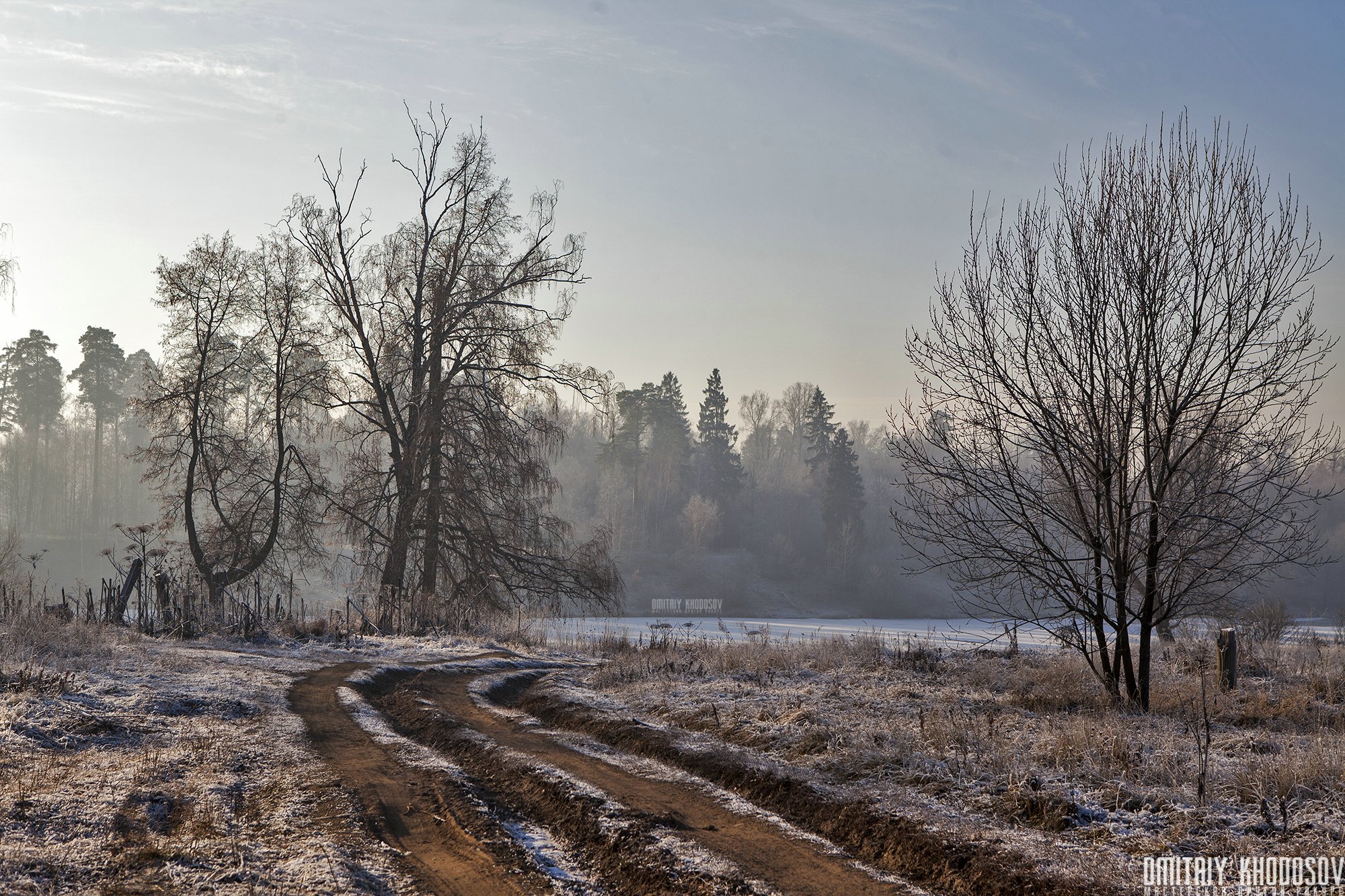 Дорога к пруду